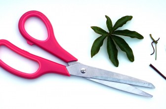 Discover the Top 10 Best Fiskars Scissors